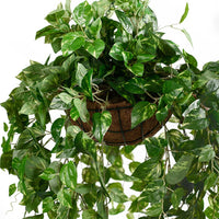 Hanging Basket M with Pothos 92CM - Plant Couture - Hanging Baskets