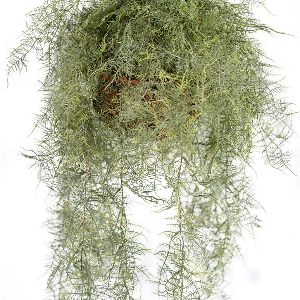 Hanging Basket S with Fern Green 112cm