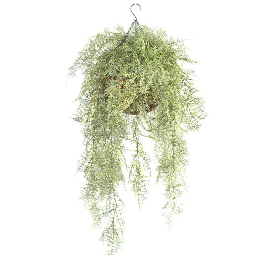 Hanging Basket S with Fern Green 112CM - Plant Couture - Hanging Baskets