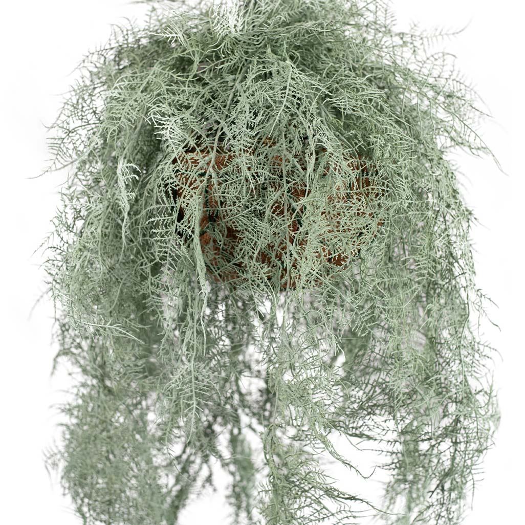 Hanging Basket S with Fern Grey 112cm