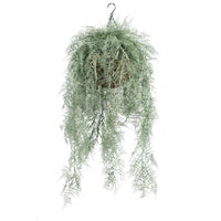 Hanging Basket S with Fern Grey 112CM - Plant Couture - Hanging Baskets