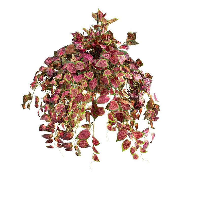 Hanging Basket S with Perilla 70CM - Plant Couture - Hanging Baskets