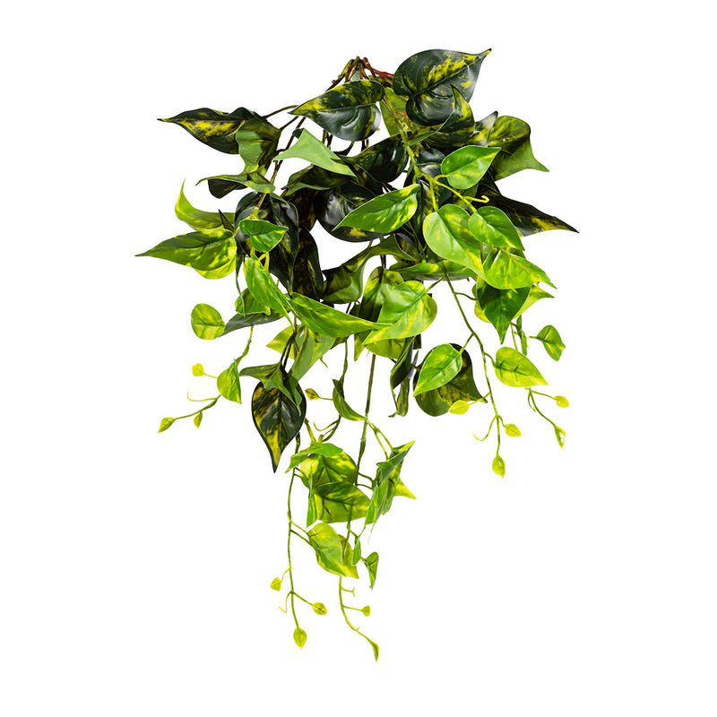 Hanging Pothos 55cm Y/G 80 Lvs - Plant Couture - Artificial Plants