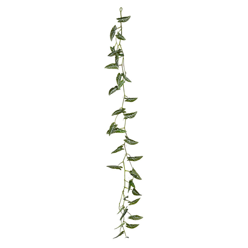 Hanging Syngonium Vine 180cm - Plant Couture - Artificial Plants