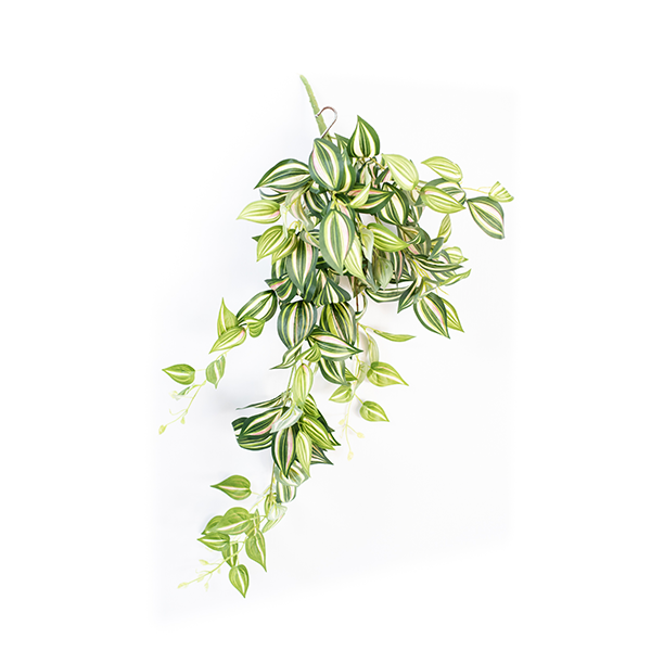 Hanging Wandering Jew 80cm Plant Couture Artificial Plants
