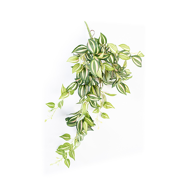 Plant Couture - Artificial Plants - Hanging Wandering Jew 80cm