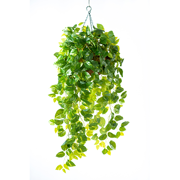Plant Couture - Artificial Plants - Hanging Basket M with Epipremnum