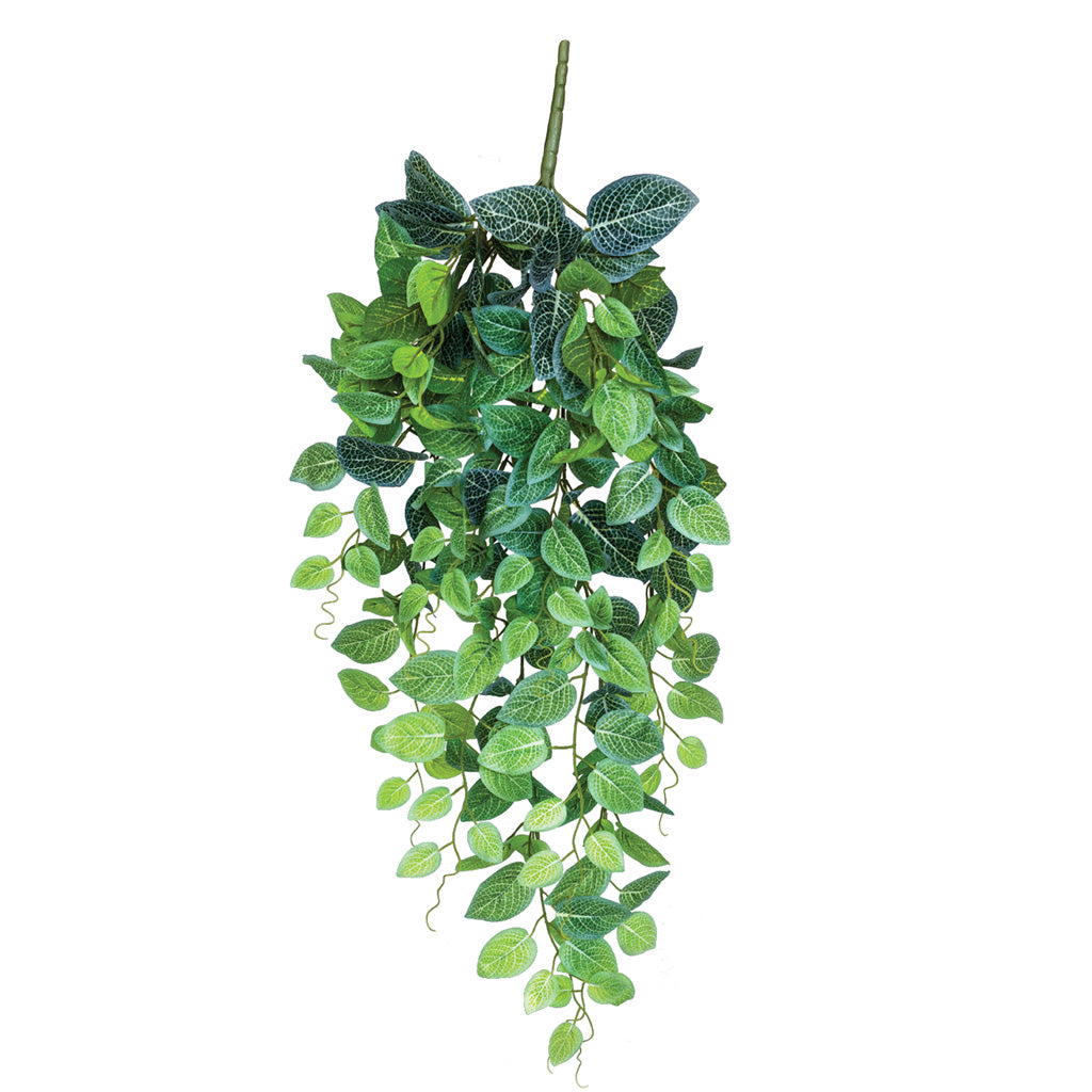 Plant Couture - Artificial Plants - Hanging Fittonia 90cm