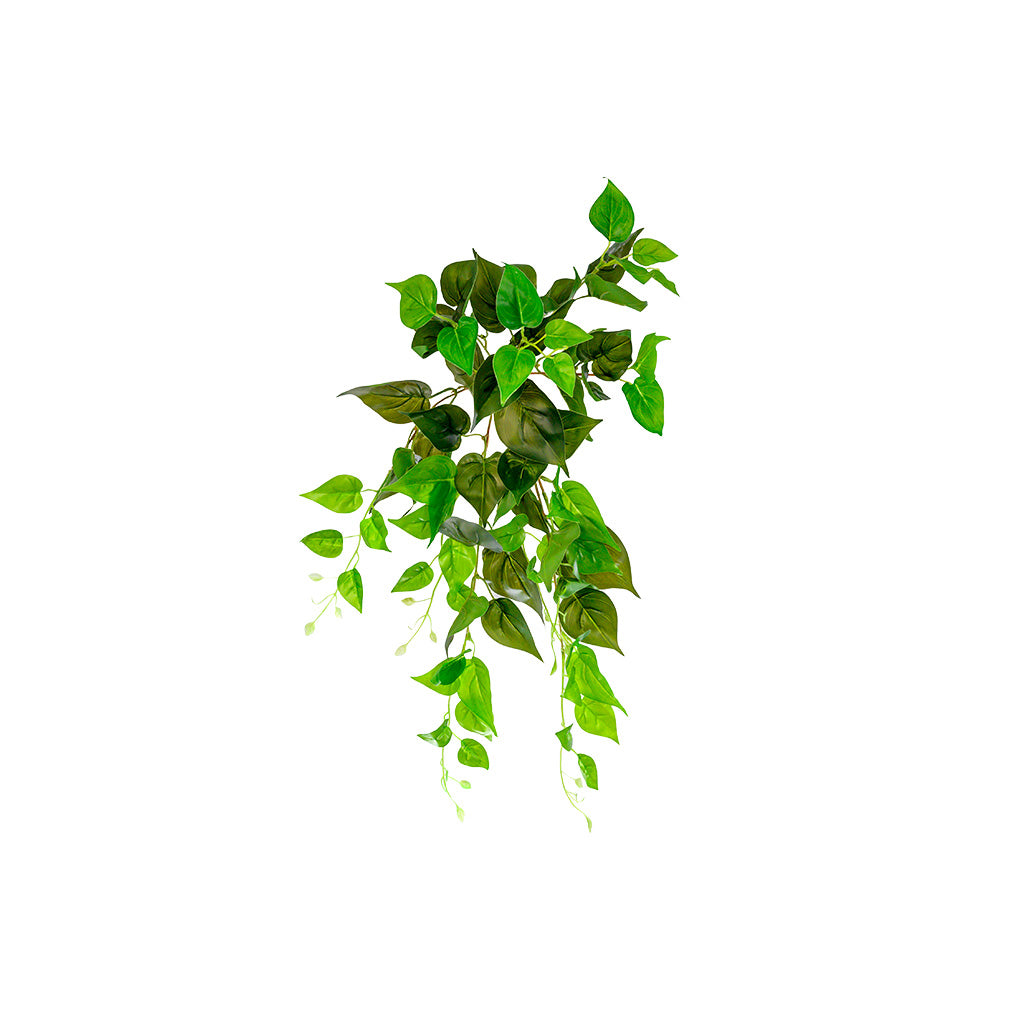 Plant Couture - Artificial Plants - Hanging Pothos 55cm