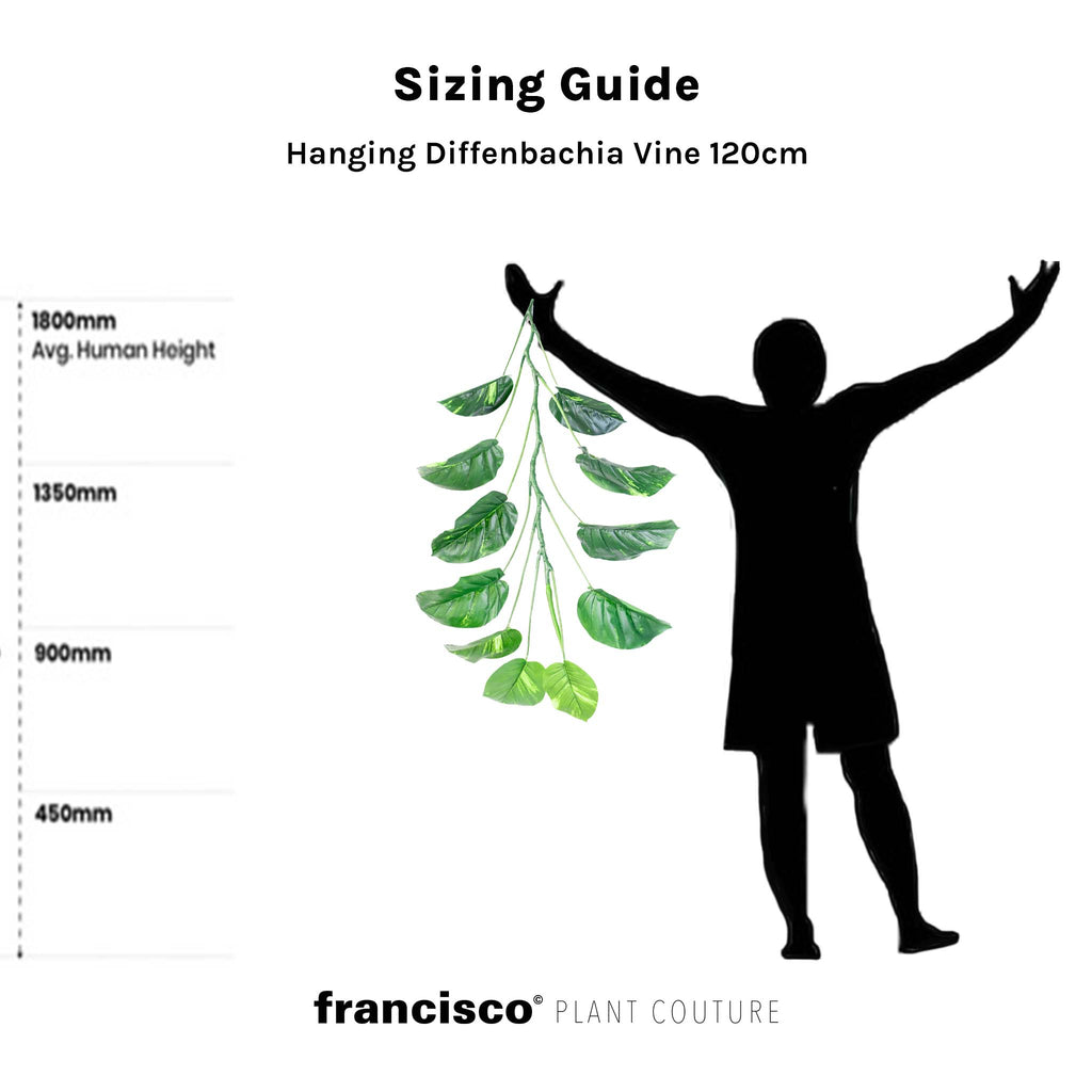 Hanging Diffenbachia Vine 120cm - Plant Couture - Artificial Plants