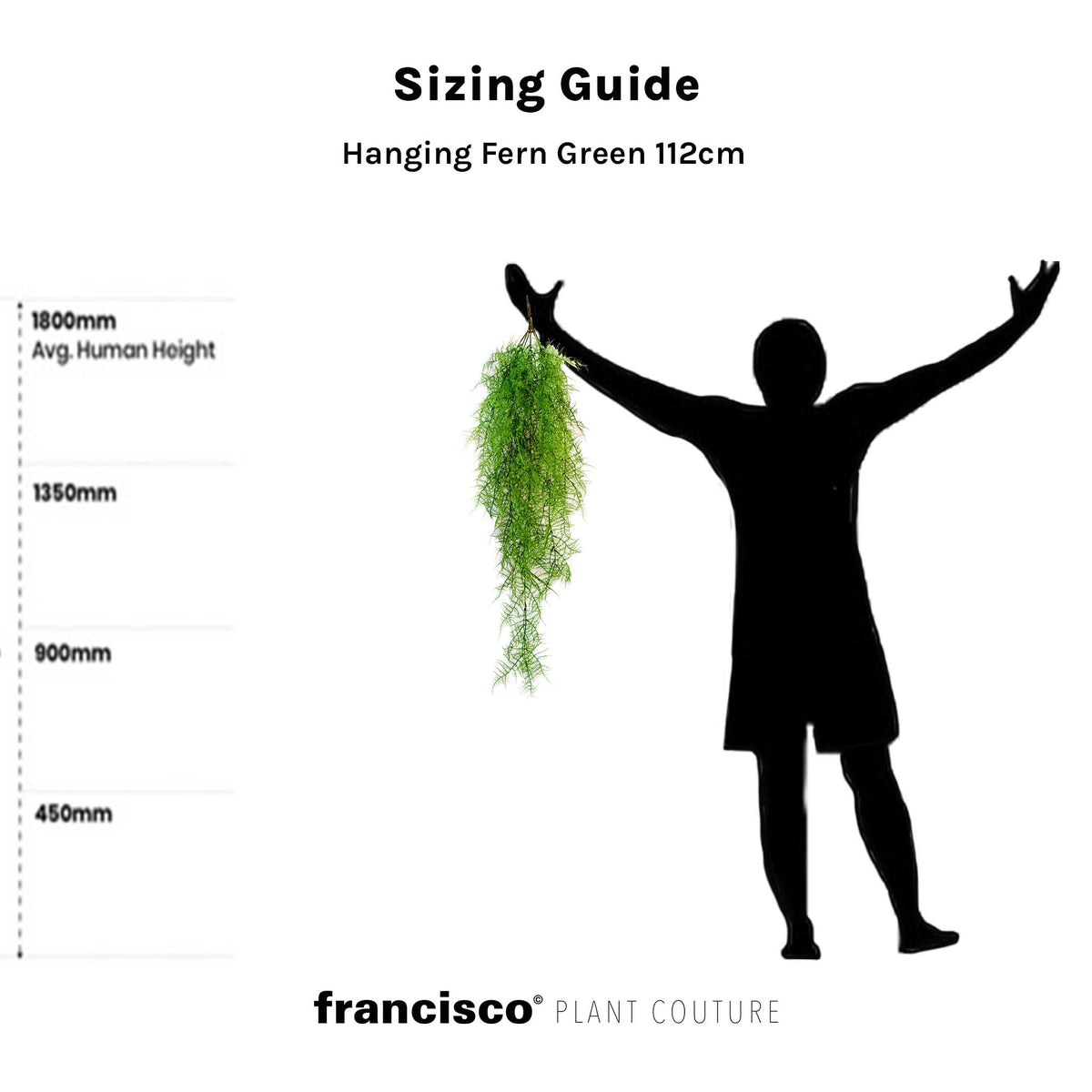 Hanging Fern Green 112cm. Hanging plants and foliage available from www.plantcouture.co.za. Image outlines size of the plant.