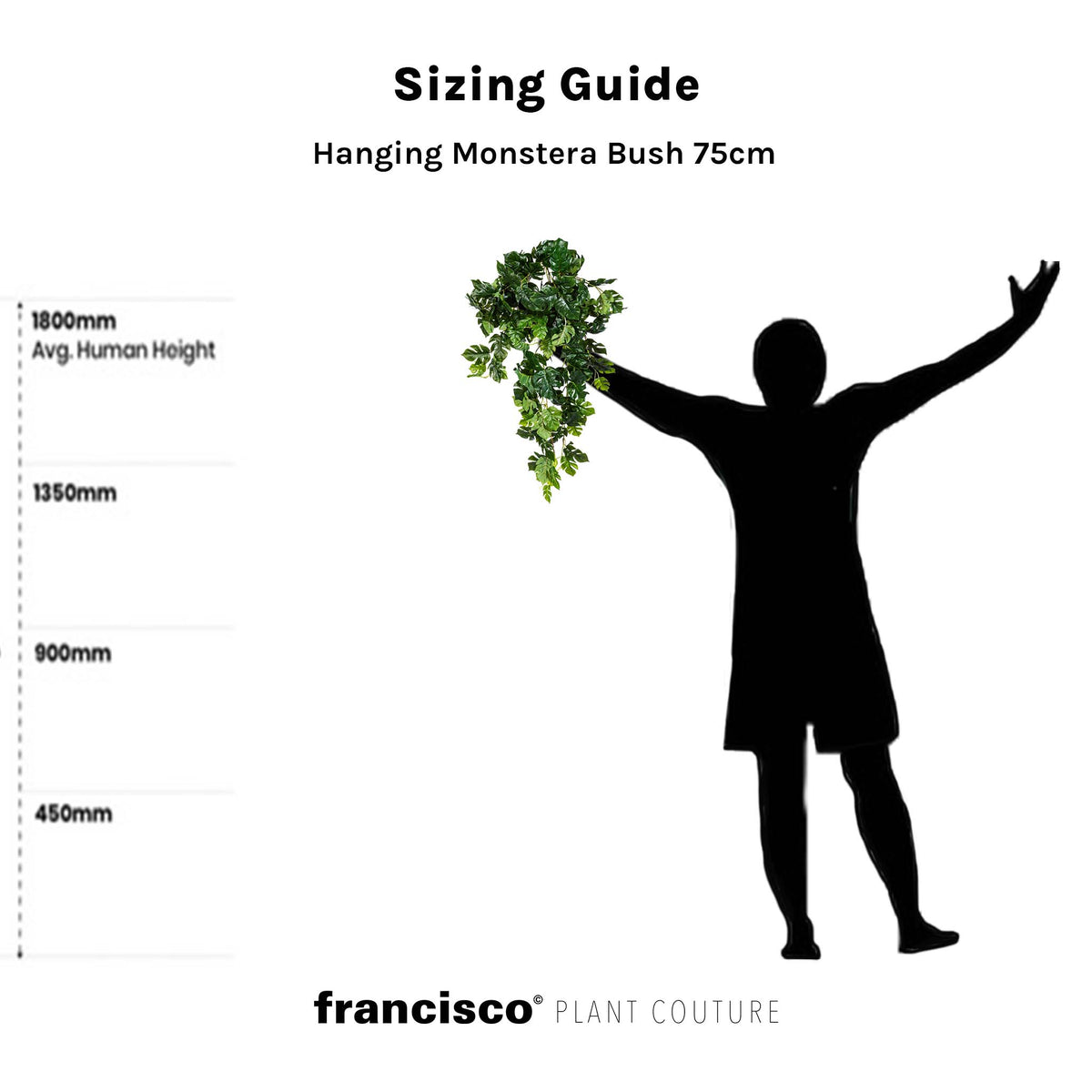Hanging Monstera Bush - 75cm
