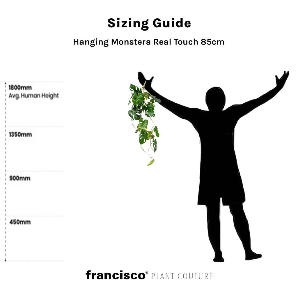 Hanging Monstera Real Touch 85cm - Plant Couture - Artificial Plants