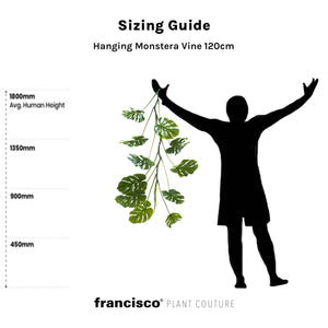 Hanging Monstera Vine 120cm - Plant Couture - Artificial Plants