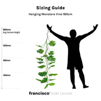 Hanging Monstera Vine 180cm - Plant Couture - Artificial Plants