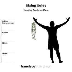 Hanging Seedvine 80cm - Plant Couture - Artificial Plants