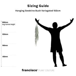 Hanging Seedvine Bush Variegated 102cm - Plant Couture - Artificial Plants