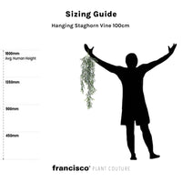 Hanging Staghorn Vine 100cm - Plant Couture - Artificial Plants