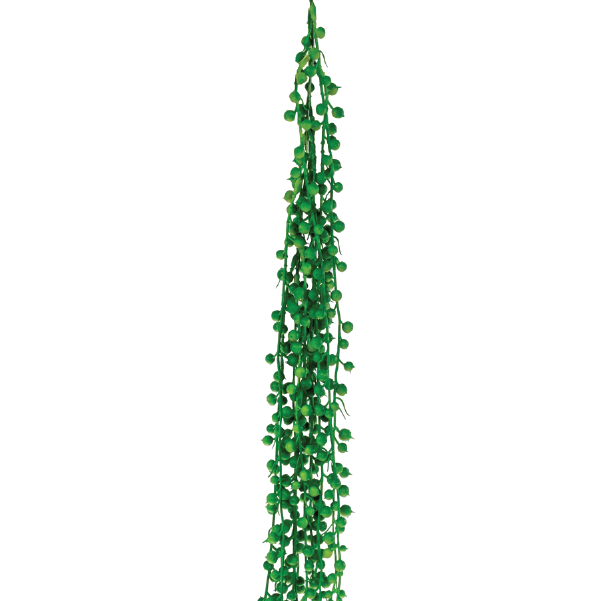 Plant Couture - Artificial Plants - Hanging Pearls String 85cm Green. Available from www.plantcouture.co.za