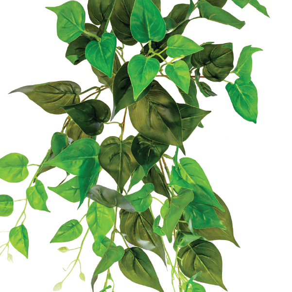 Plant Couture - Artificial Plants - Hanging Pothos 55cm - Close Up