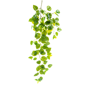 Plant Couture - Artificial Plants - Hanging Pothos Bush 107cm