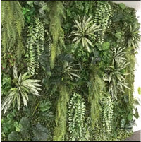 Plant Couture - Artificial Plants - Green Wall /m2