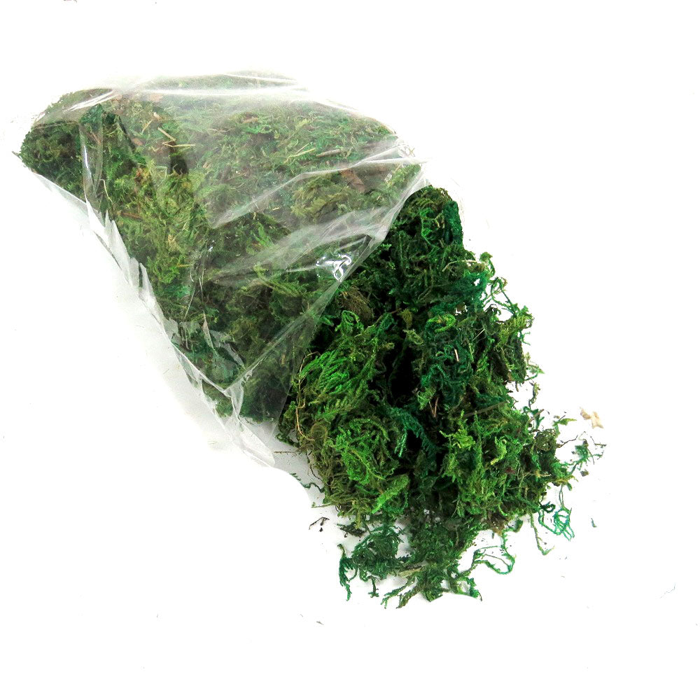 Plant Couture - Artificial Plants - Artificial Moss 100g