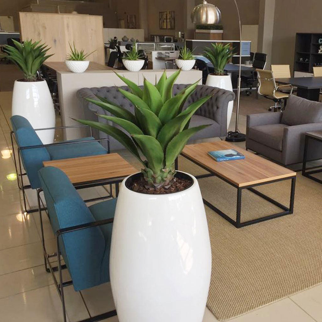 Plant Couture - Pots & Planters - Gaultier B - Lifestyle Image With Agave 