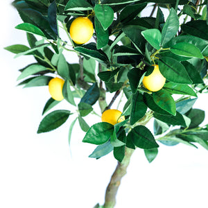 Plant Couture - Artificial Plants - Lemon Tree 120cm - Close Up 