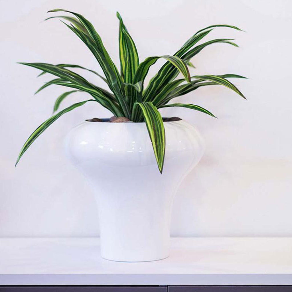 Plant Couture - Pots & Planters - Massoni - Lifestyle Images 