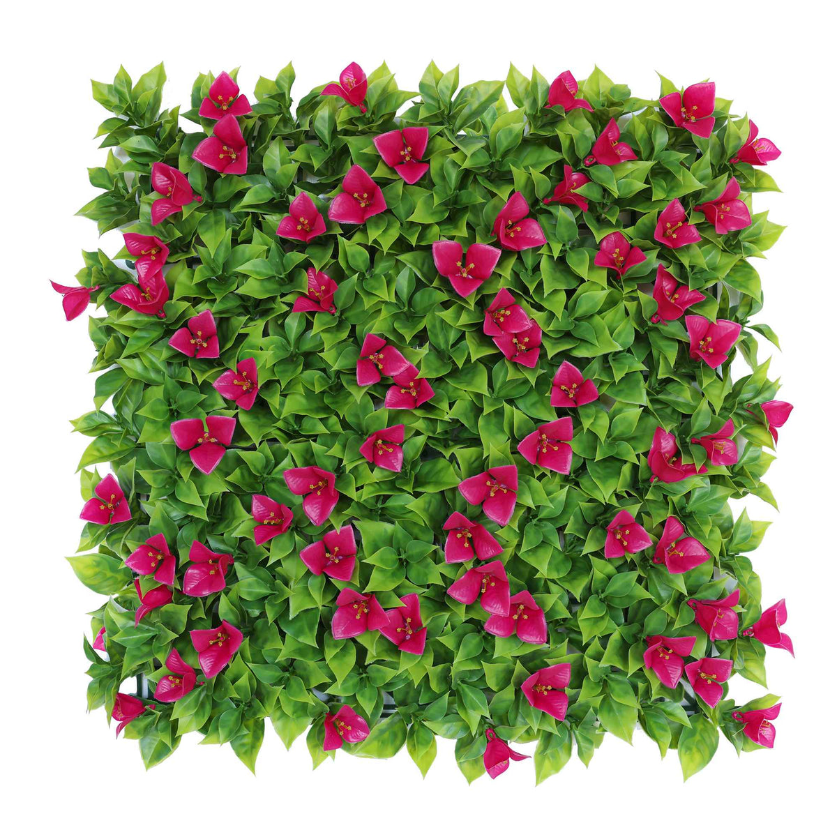 Matting Bougainvillea UV 50cm x 50cm