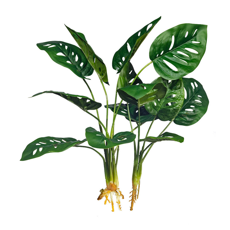 Filler Monkey Monstera x2 45cm - Plant Couture - Artificial Plants