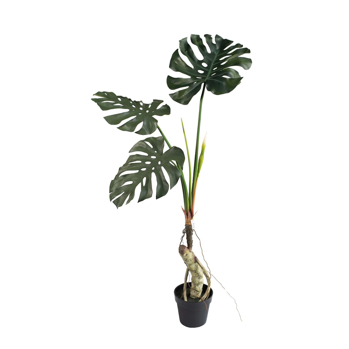 ARTIFICIAL MONSTERA TREE WITH 3 BIG LEAVES AND BEAUTIFUL STEM120CM IN WEIGTED POT. Available from www.plantcouture.co.za