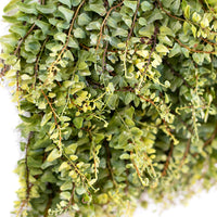 Plant Couture - Artificial Plants - Matting Fern 30cmx30cm - Close Up 