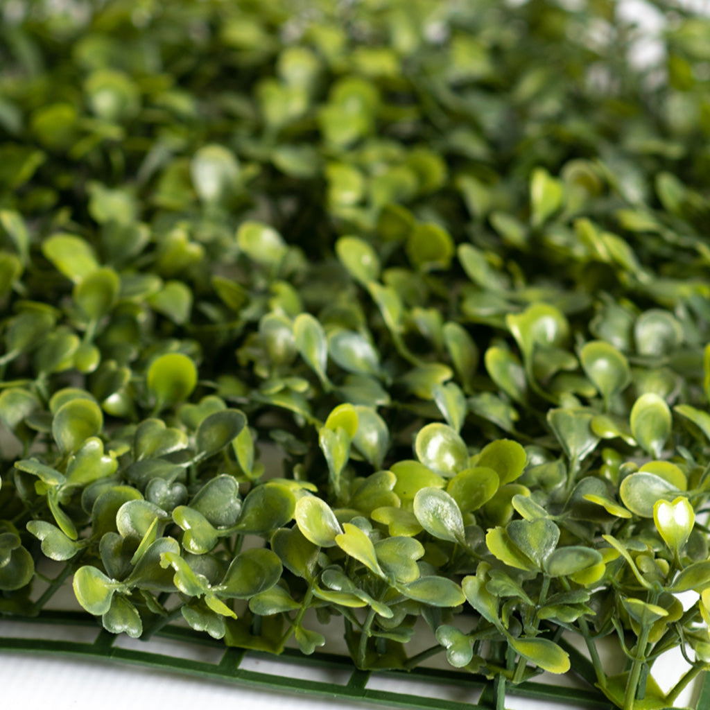 Plant Couture - Artificial Plants - Matting Boxwood 25cmx25cm - Close Up