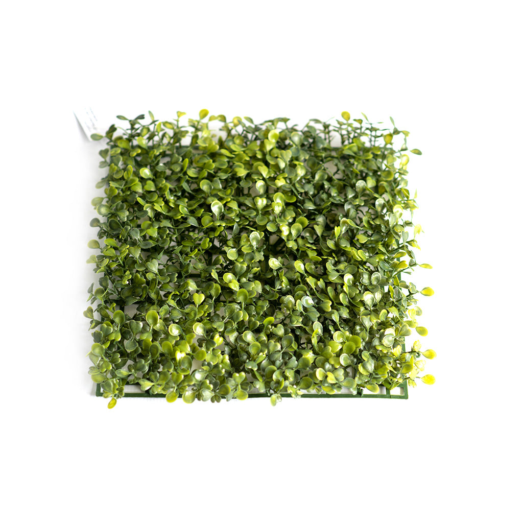 Plant Couture - Artificial Plants - Matting Boxwood 25cmx25cm - Top
