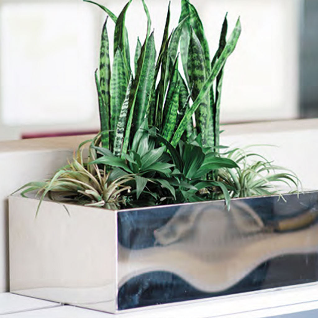 Plant Couture - Artificial Plant Pot - Metallic Table Top Box Stainless Steel Planter - Lifestyle Image