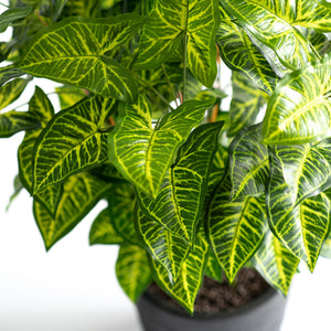 Plant Couture - Artificial Plants - Mini Philo 90cm - Close Up 