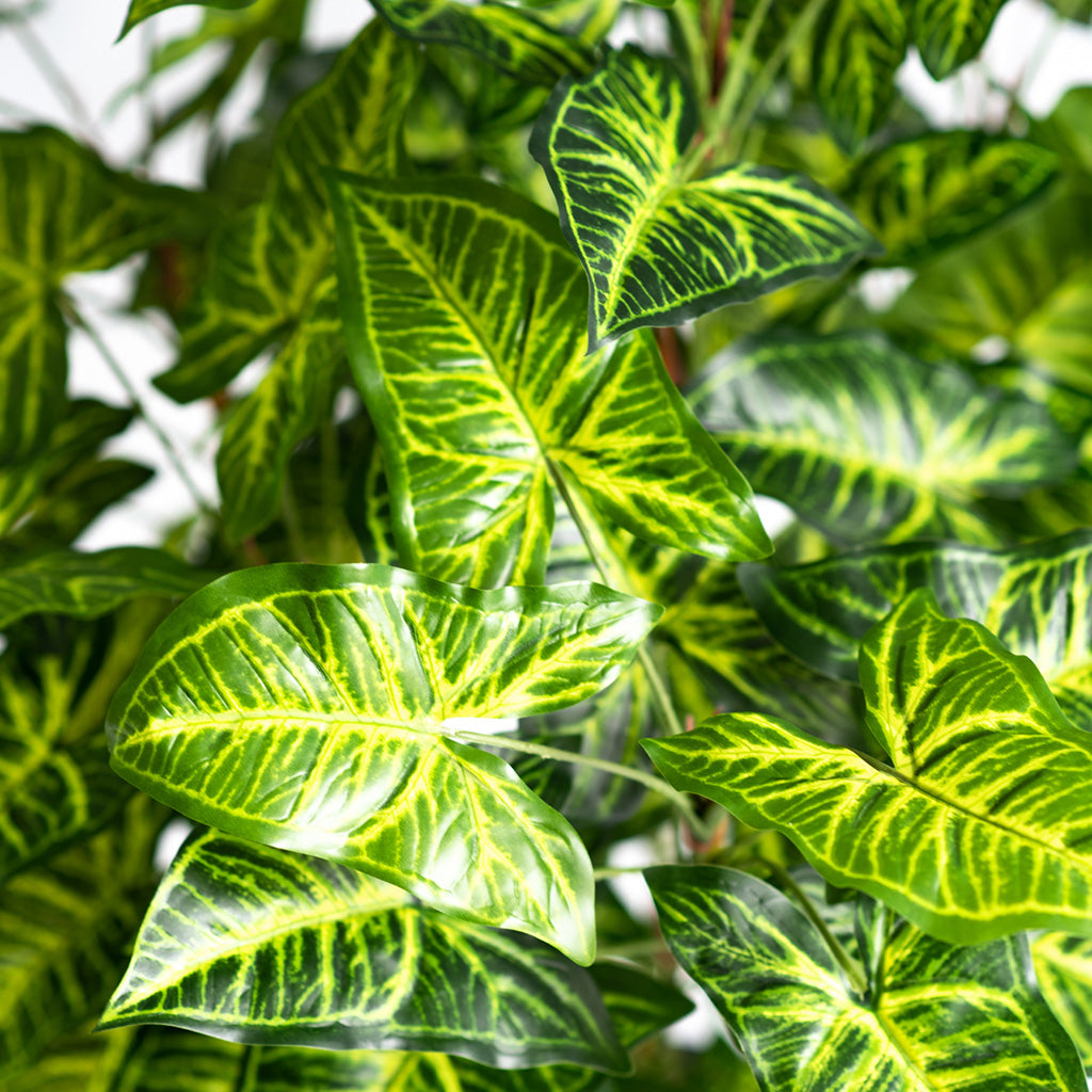 Plant Couture - Artificial Plants - Mini Philo 90cm - Top