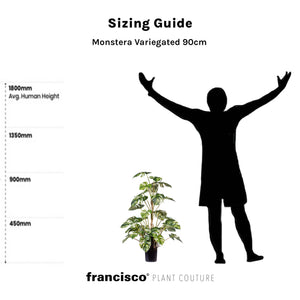 Monstera Variegated 90cm - Plant Couture - Artificial Plants