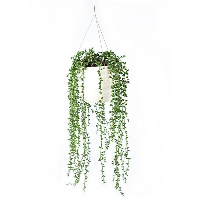 Plant Couture - Artificial Plant Pot - Montana Small - With Hanging Seed Pods 
