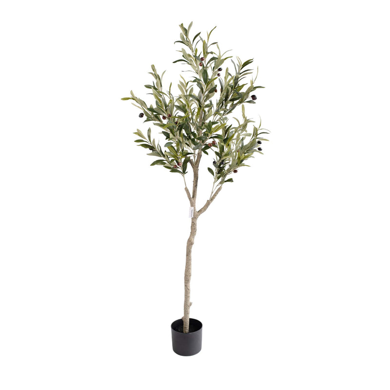 Faux Olive tree with fruit 150cm in weighted pot 