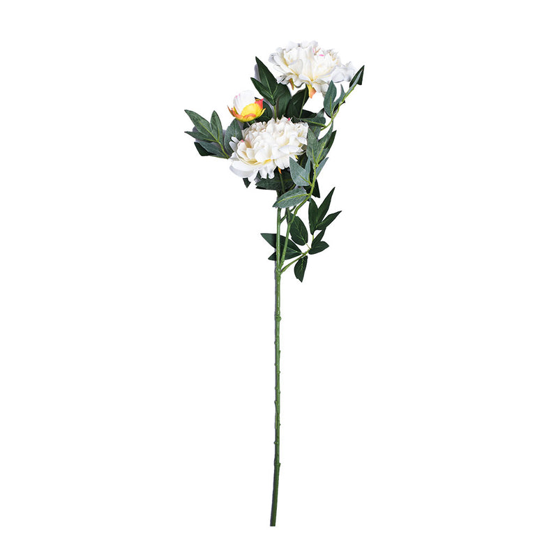 Faux Peonie Cream 2 Flowers 1 bud 80cm height