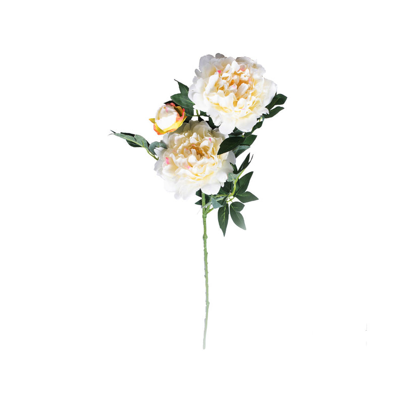 Silk Peonie Cream Stem with 2 flowers and 1 bud 80cm height