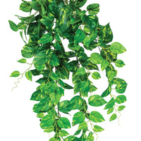 Plant Couture - Artificial Plants - Hanging Fresh Pothos 90cm - Close Up