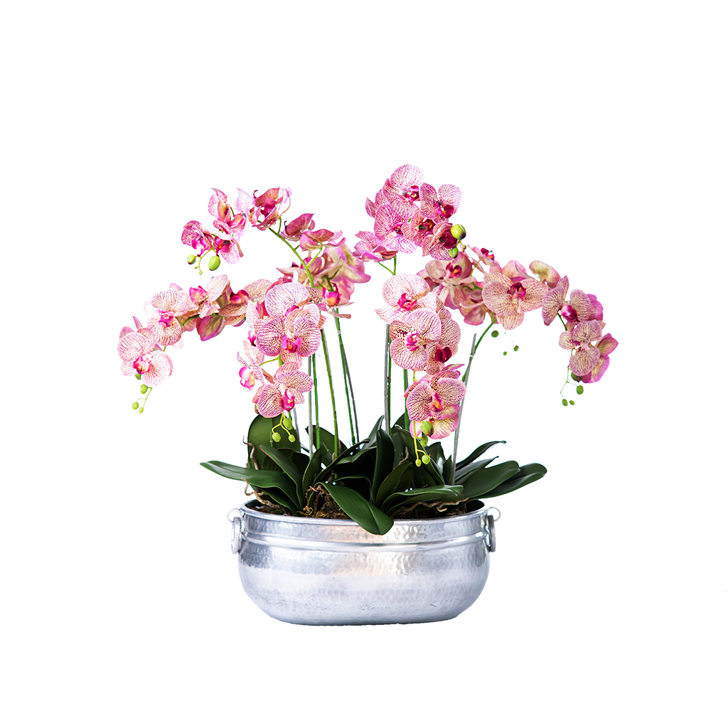 Artificial Speckled  Pink Purple Phalaenopsis Orchid set in Silver Tin