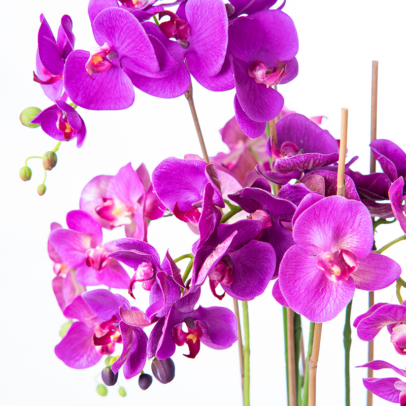 Close up of Artificial Purple Phalaenopsis Arrangement in Faux water