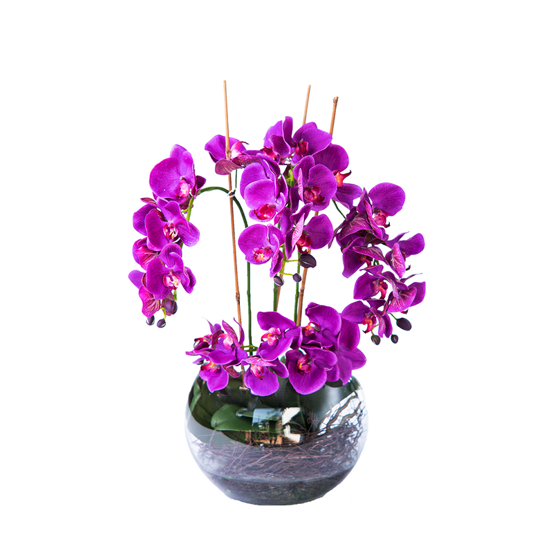 Artificial Phalaenopsis Orchid set in Glass bowl with faux water