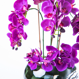 Close up of Artificial Phalaenopsis Orchid set in Glass bowl with faux water