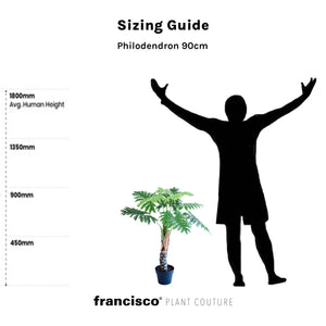 Philodendron 90cm - Plant Couture - Artificial Plants